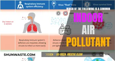 Common Indoor Air Pollutants and Their Sources