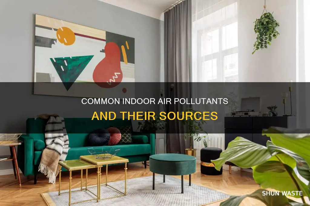 which of the following is a common indoor air pollutant