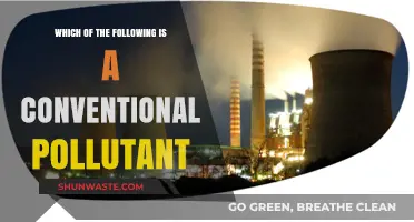 Understanding Conventional Pollutants: Which Are They?