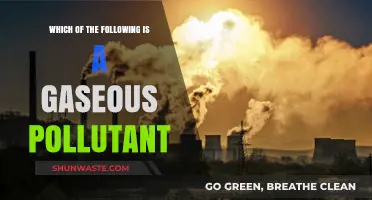 Gaseous Pollutants: Understanding Their Impact on Our Environment