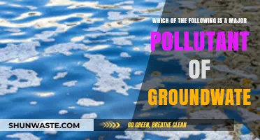 Groundwater Pollutants: Understanding the Major Contaminants