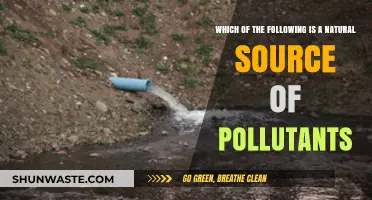 Natural Pollutants: Sources and Their Impact