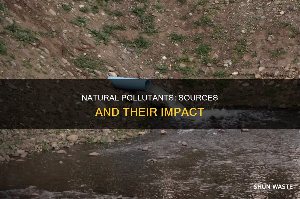 which of the following is a natural source of pollutants