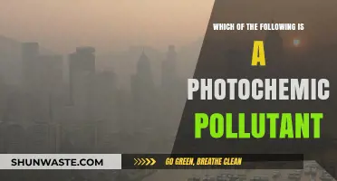 Photochemical Pollutants: Understanding the Hazards in Our Air