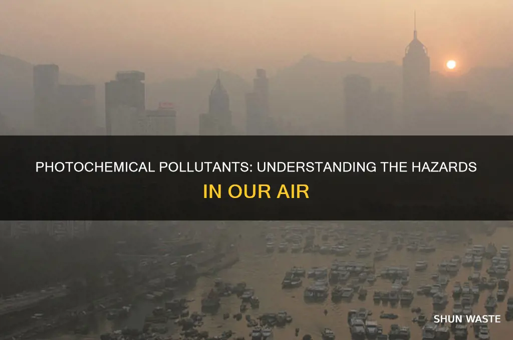 which of the following is a photochemical pollutant