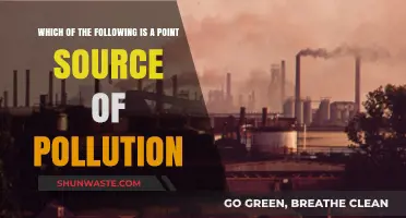 Understanding Point-Source Pollution: What, Where, and Why?