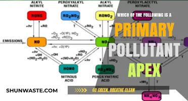 Primary Pollutant Apex: Understanding Key Contaminants
