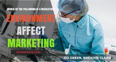 Regulatory Environments: How They Shape and Influence Marketing Strategies