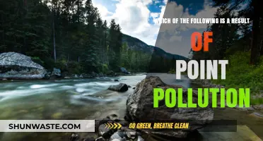 How Point Pollution Impacts Our Environment