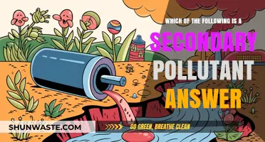 Secondary Pollutants: Understanding the Complex Air Contaminants