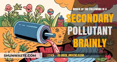 Secondary Pollutants: Understanding the Complex Interactions