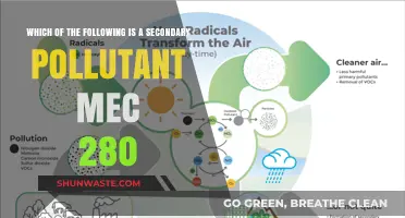 Understanding Secondary Pollutants: MEC 280