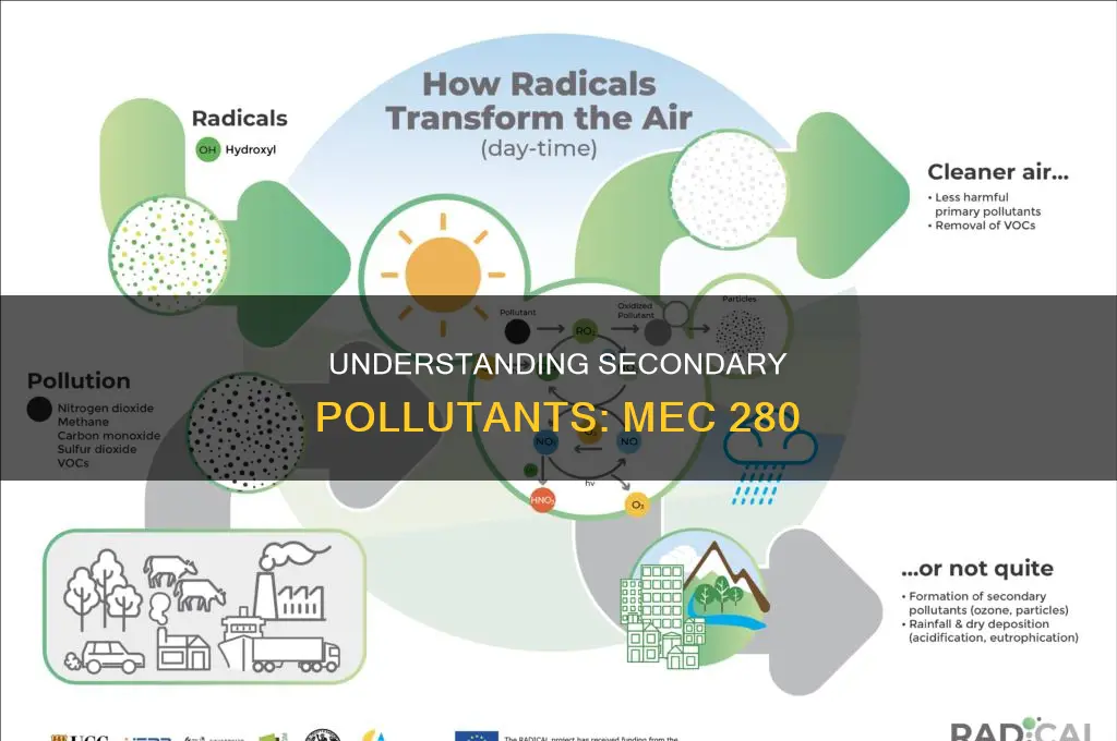 which of the following is a secondary pollutant mec 280