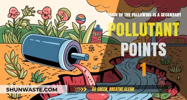 How Secondary Pollutants Affect Our Environment