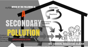 Secondary Pollution: Understanding the Hidden Dangers