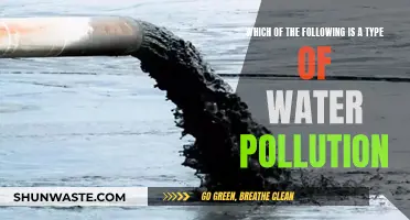 Unveiling the Hidden Culprits: Types of Water Pollution Explained