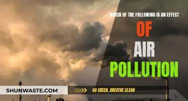 The Dark Side of Air Pollution: Its Effects Unveiled