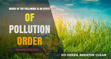 Pollution's Impact Hierarchy: Understanding the Order of Effects