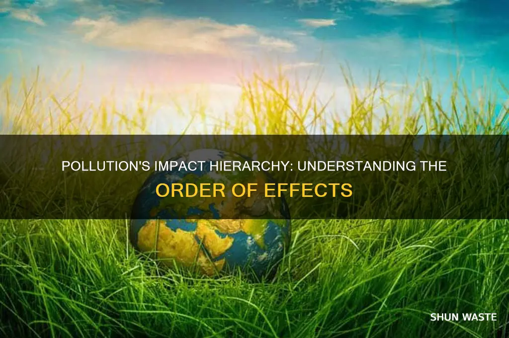 which of the following is an effect of pollution order