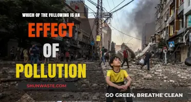 Pollution's Impact: Devastating Effects on Our Planet
