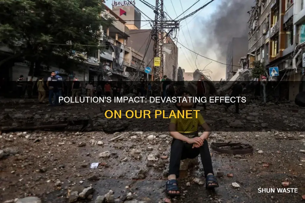 which of the following is an effect of pollution