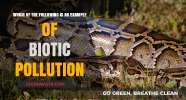 Understanding Biotic Pollution: Examples and Impacts