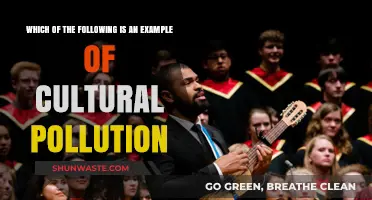 Cultural Pollution: Globalization's Dark Side