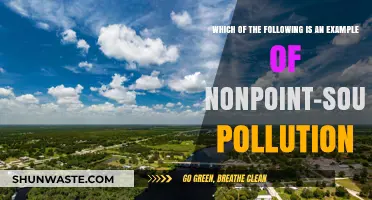 Nonpoint-Source Pollution: Understanding Its Impact and Examples