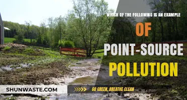 Point-Source Pollution: Understanding Its Impact and Examples