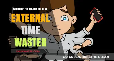 Mastering Time Management: Identifying and Conquering External Time Wasters