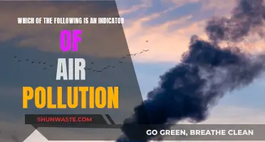 Air Pollution Indicators: What You Should Know