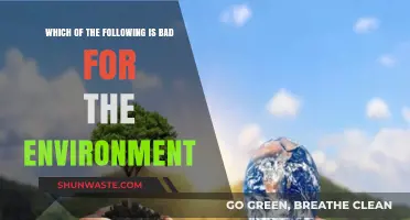 Eco-Friendly Living: Identifying Harmful Practices for a Greener Planet