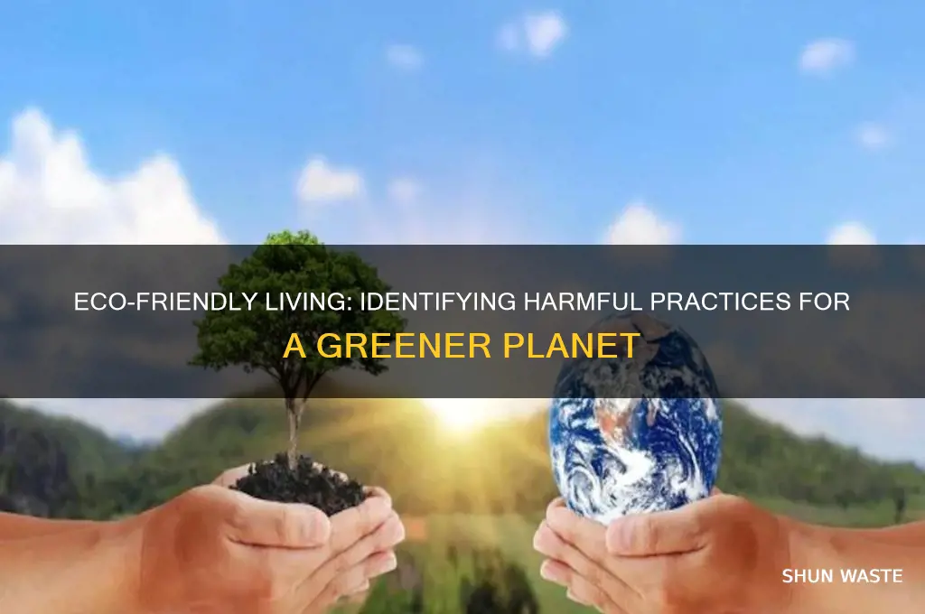 which of the following is bad for the environment