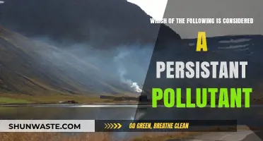Persistent Pollutants: What Are the Most Dangerous Toxins?