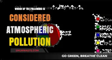 Understanding Air Pollution: What's Harming Our Atmosphere?