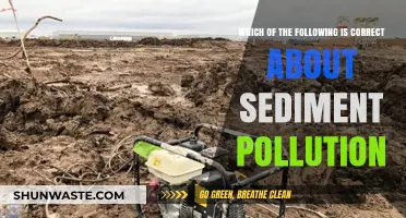 Sediment Pollution: Understanding Its Impact and Corrective Measures