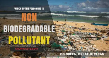 Non-Biodegradable Pollutants: Understanding the Environmental Impact