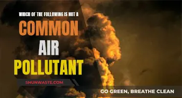 Air Pollutants: What's Not a Common Culprit?