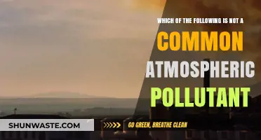 Air Pollutants: What's Not Harming Our Atmosphere?