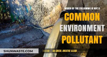 Environmental Awareness: Identifying Uncommon Pollutants