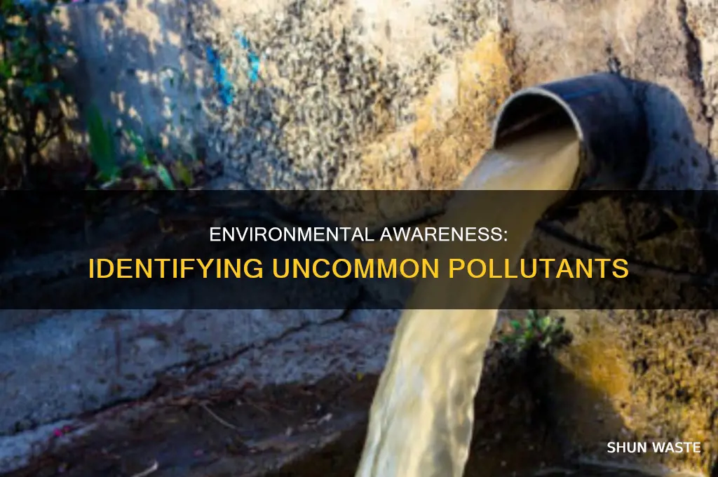 which of the following is not a common environmental pollutant