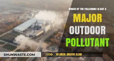 Outdoor Air: What's Harmful and What's Not?