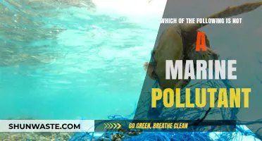 Marine Pollution: What's Not a Threat?