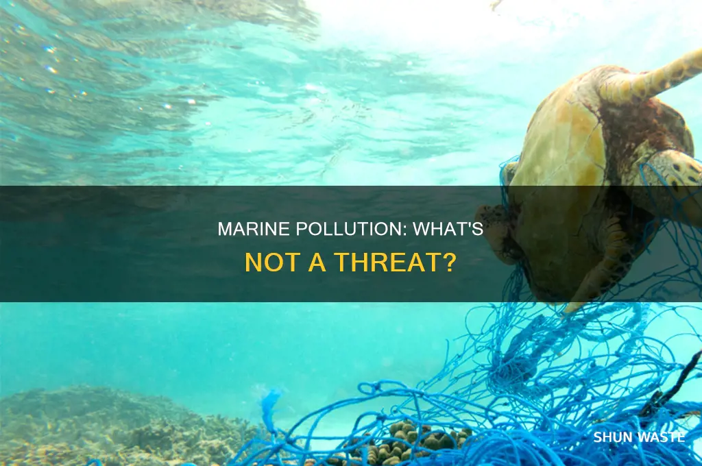 which of the following is not a marine pollutant