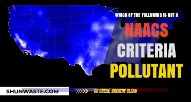 Criteria Pollutants: What's Not on the NAACS List?