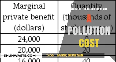 The True Cost of Pollution: What's Missing?