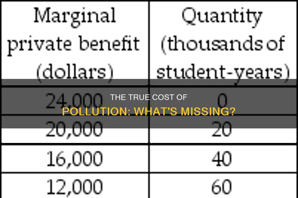 which of the following is not a pollution cost