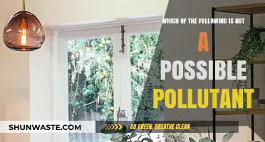 Identifying Non-Pollutants: What's Not Harming Our Environment?