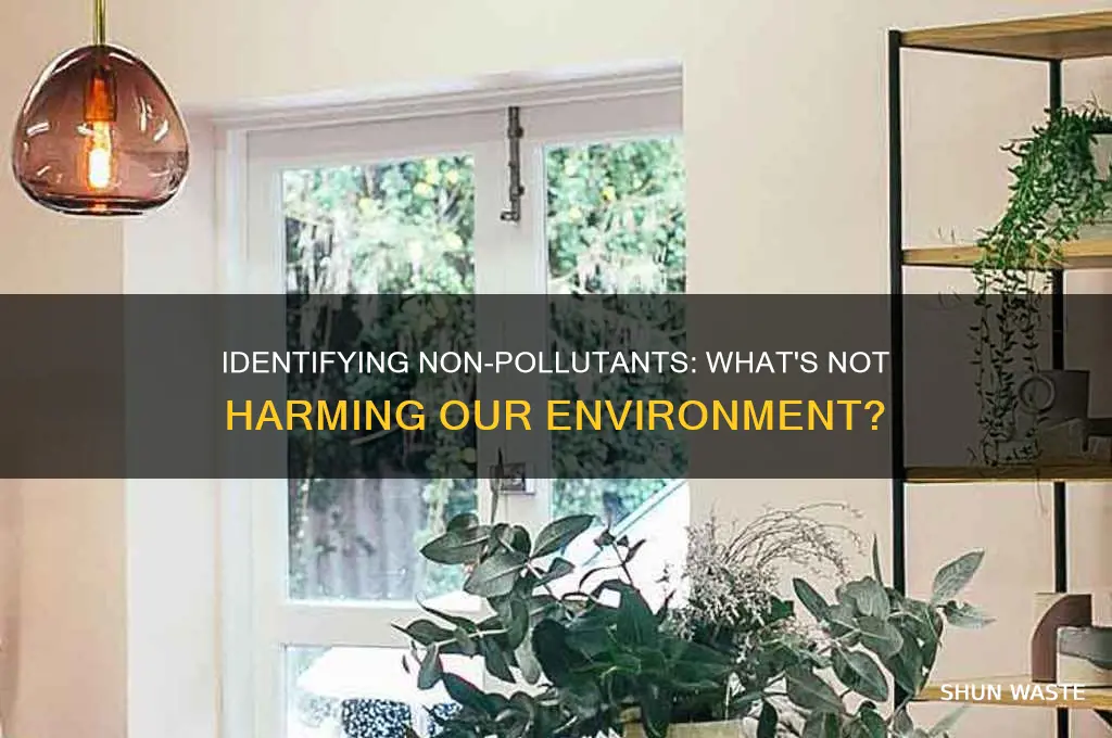 which of the following is not a possible pollutant