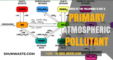 What Isn't a Primary Pollutant?